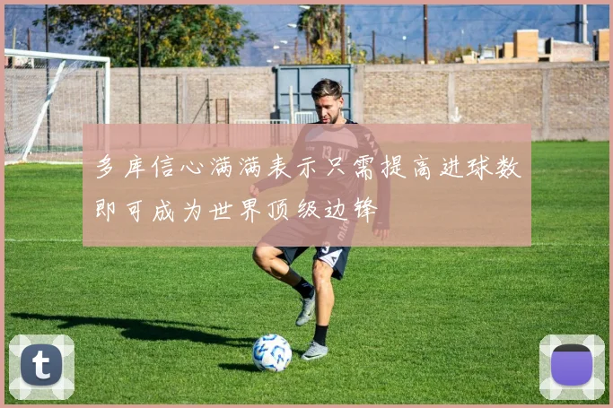 多库信心满满表示只需提高进球数即可成为世界顶级边锋